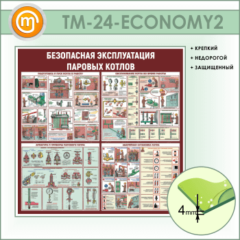      (TM-24-ECONOMY2)